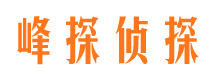 东风出轨调查